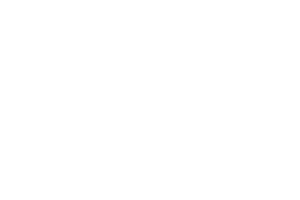 Boito e hijos, Servicios Fúnebres